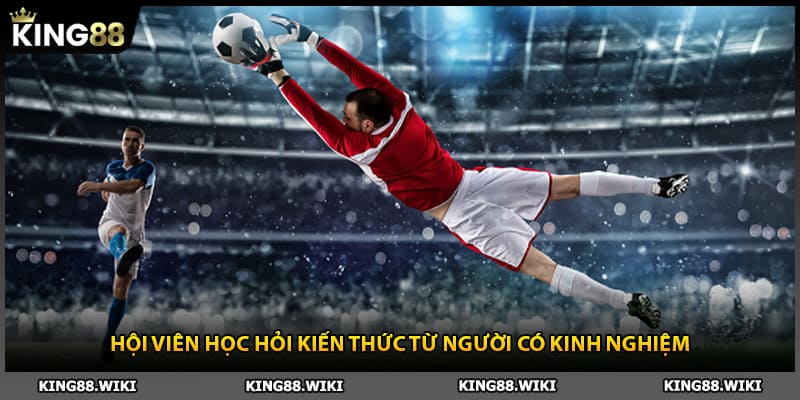 Hội viên học hỏi kiến thức cá cược bóng đá từ người có kinh nghiệm